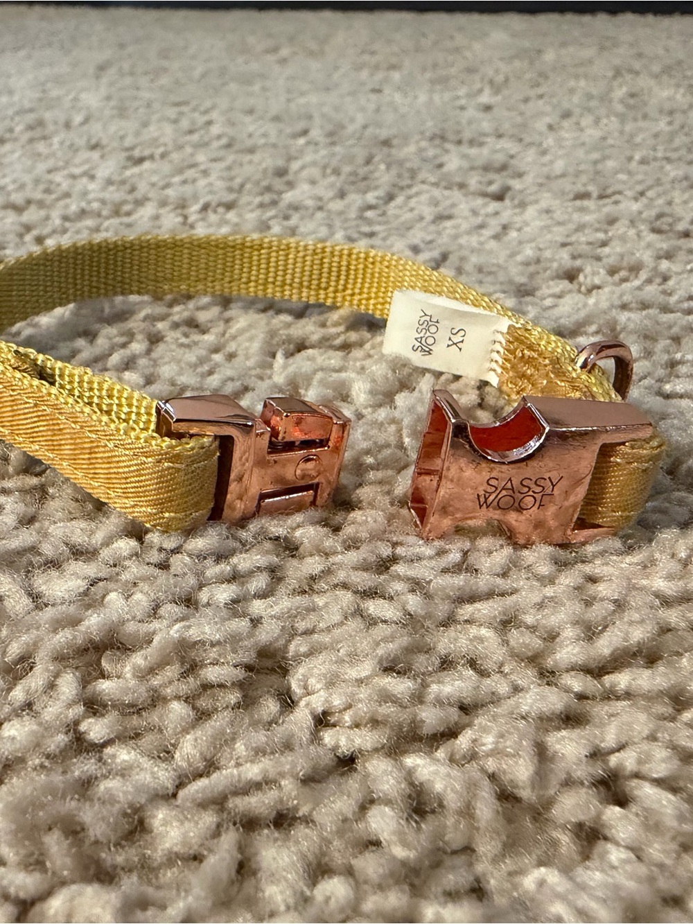 Sassy Woof Sunflower Fields Dog Collar with Rose Gold Buckle - XS